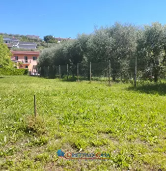Foto annuncio 6