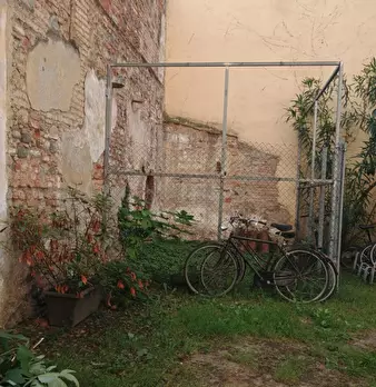 Foto annuncio 8
