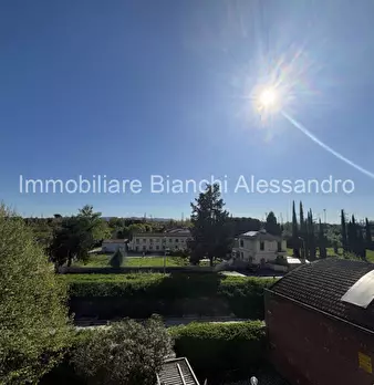 Foto annuncio 17