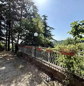 Foto annuncio 26