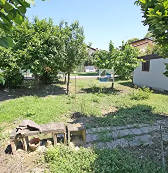 Foto annuncio 19