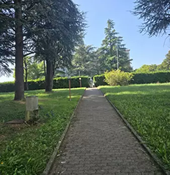 Foto annuncio 3