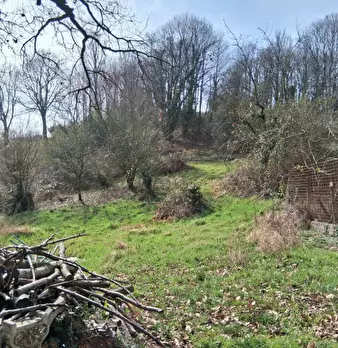 Foto annuncio 30