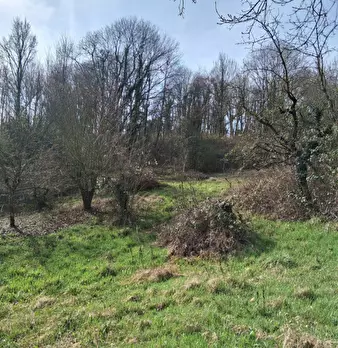 Foto annuncio 31