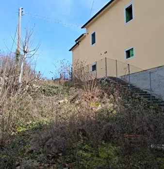 Foto annuncio 32