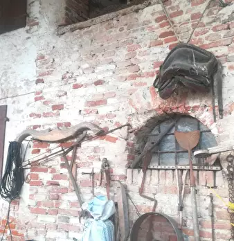 Foto annuncio 10