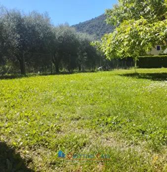 Foto annuncio 6