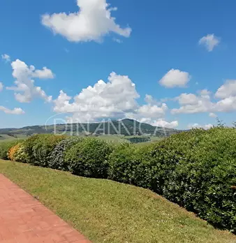 Foto annuncio 38