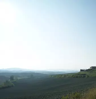 Foto annuncio 41