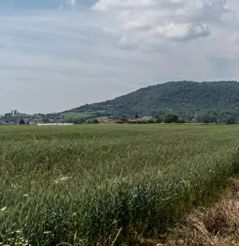 Foto annuncio 31