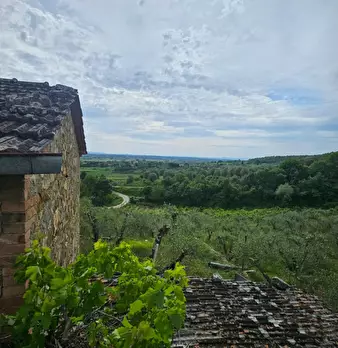 Foto annuncio 17