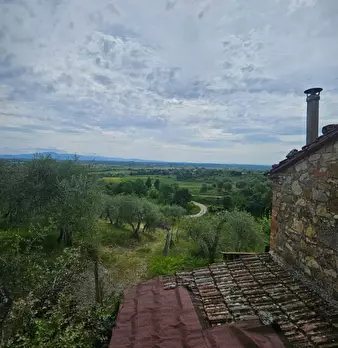 Foto annuncio 18