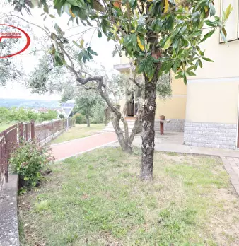 Foto annuncio 5