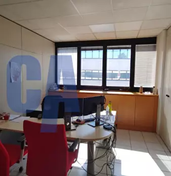 Foto annuncio 6