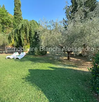 Foto annuncio 5