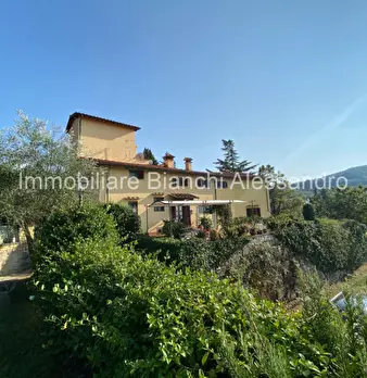 Foto annuncio 6