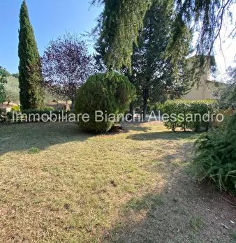 Foto annuncio 7