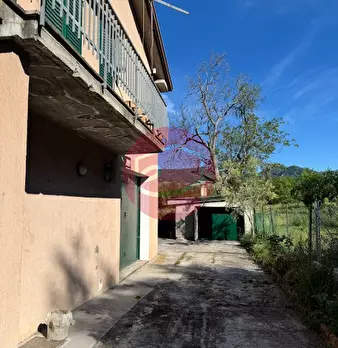 Foto annuncio 12
