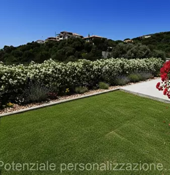Foto annuncio 12