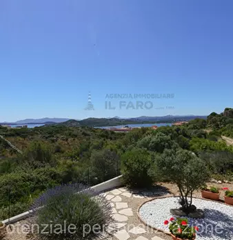 Foto annuncio 17