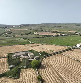 Foto annuncio 12