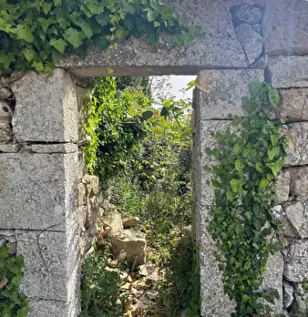 Foto annuncio 13