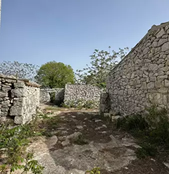 Foto annuncio 31
