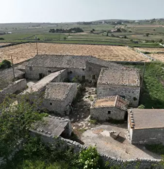 Foto annuncio 41