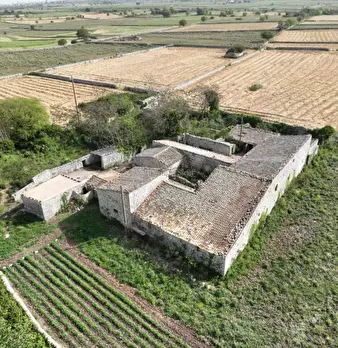 Foto annuncio 44