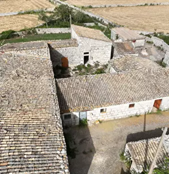 Foto annuncio 46