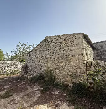 Foto annuncio 53