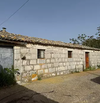 Foto annuncio 54