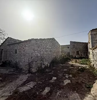 Foto annuncio 56