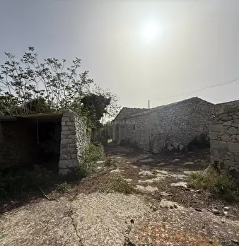 Foto annuncio 57
