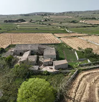 Foto annuncio 60