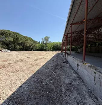 Foto annuncio 16