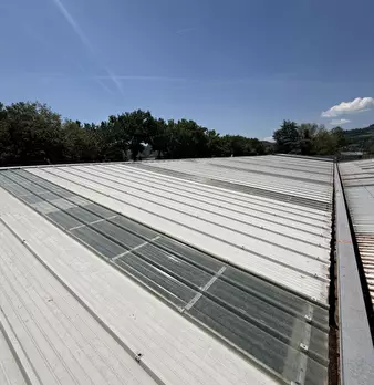 Foto annuncio 62