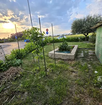 Foto annuncio 3