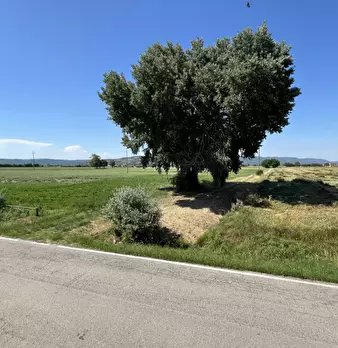 Foto annuncio 20