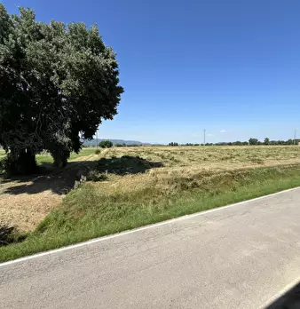 Foto annuncio 21