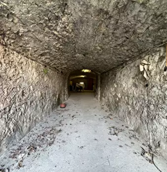 Foto annuncio 26