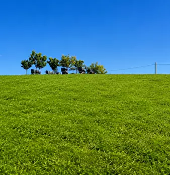 Foto annuncio 17