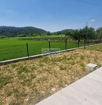 Foto annuncio 4
