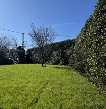 Foto annuncio 11