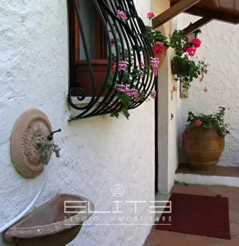 Foto annuncio 2