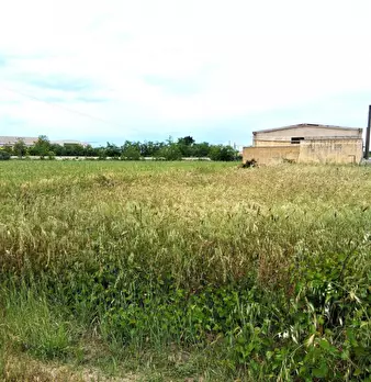 Foto annuncio 8