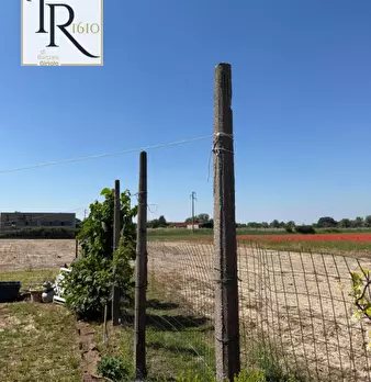Foto annuncio 22