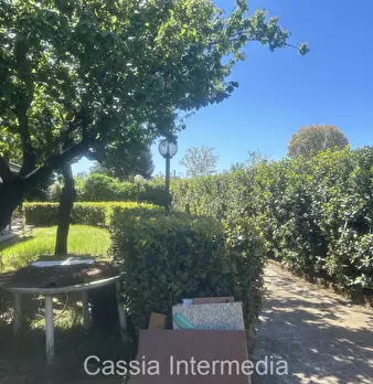 Foto annuncio 8