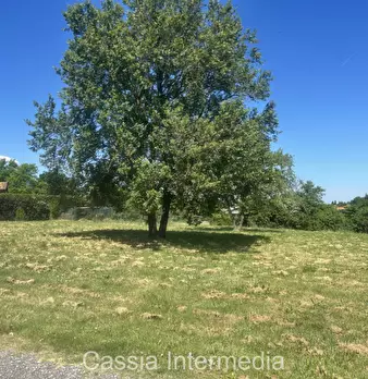 Foto annuncio 33