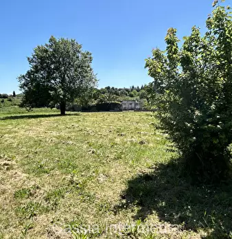Foto annuncio 34